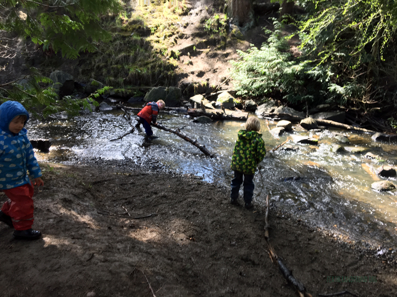 FoxWalkers-2019-Week26-27-Fairhaven-37.jpg