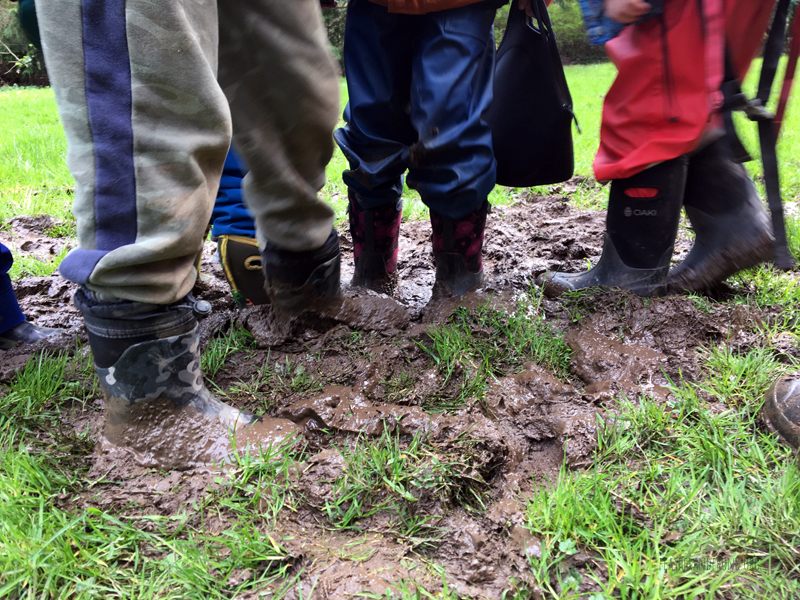 FoxWalkers-2019-Week26-27-Fairhaven-49.jpg