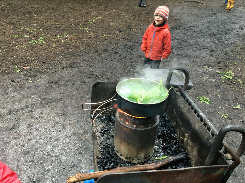 FoxWalkers-2019-Week26-27-Whatcom-02.jpg