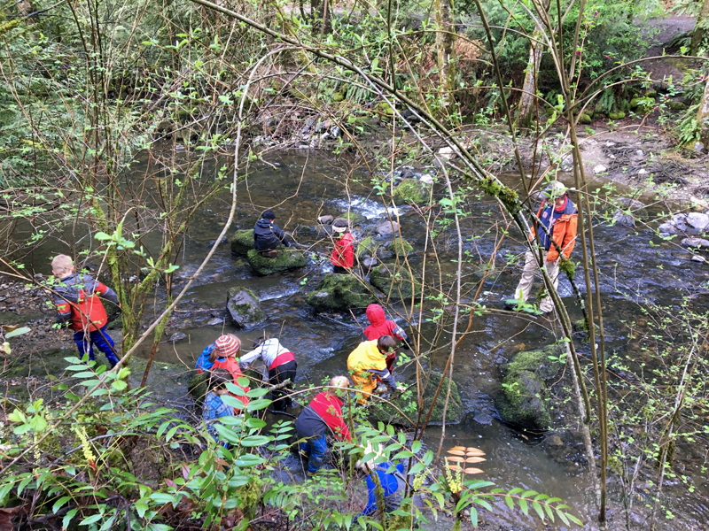 FoxWalkers-2019-Week26-27-Whatcom-04.jpg