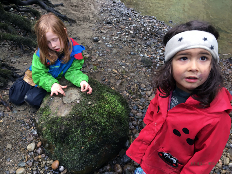 FoxWalkers-2019-Week26-27-Whatcom-05.jpg