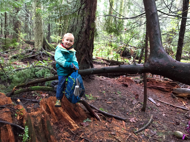 FoxWalkers-2019-Week26-27-Whatcom-15.jpg