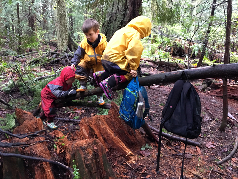 FoxWalkers-2019-Week26-27-Whatcom-16.jpg