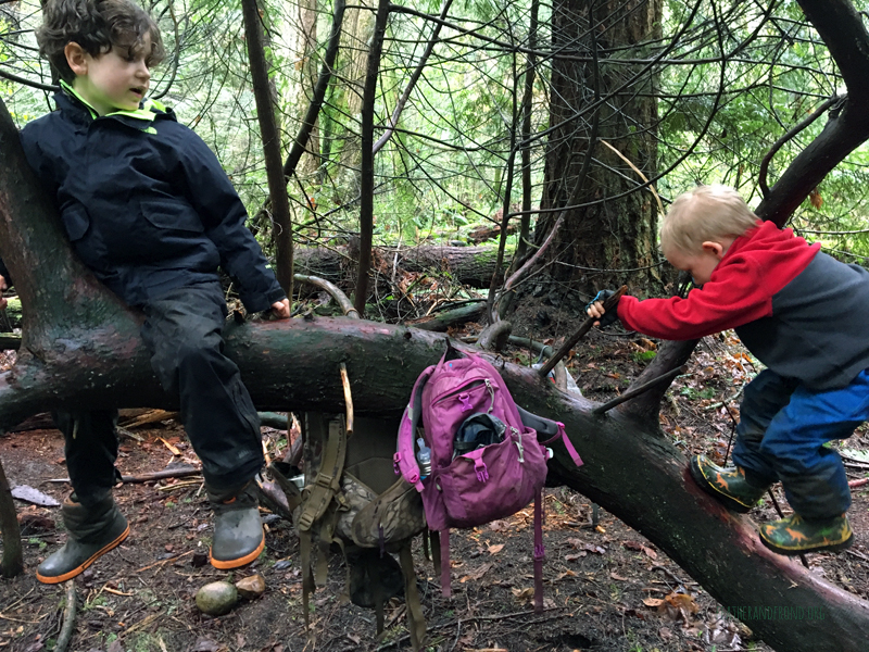 FoxWalkers-2019-Week26-27-Whatcom-17.jpg