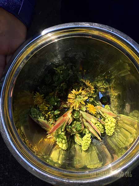 Wild spring abundance!