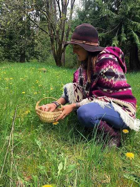 Dandelion-harvesting season is upon us. . .