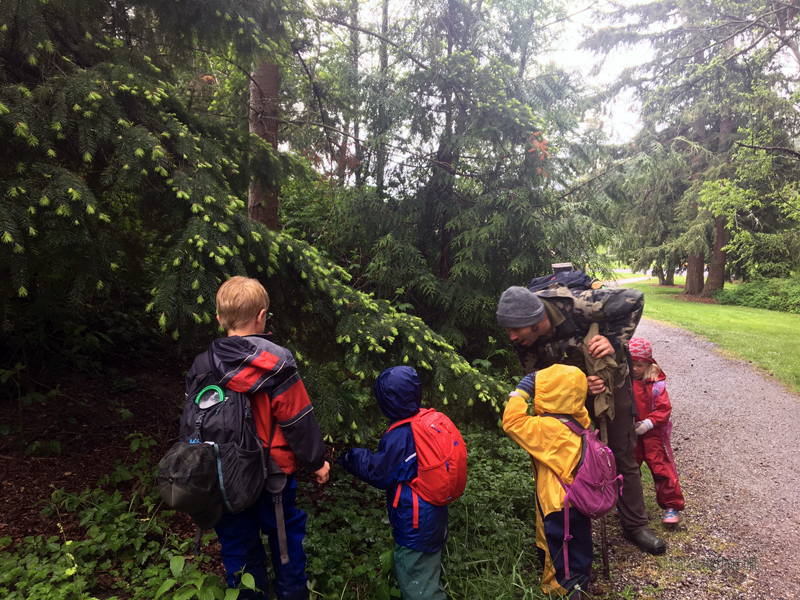 FoxWalkers-2019-Week30+31-Fairhaven22.jpg