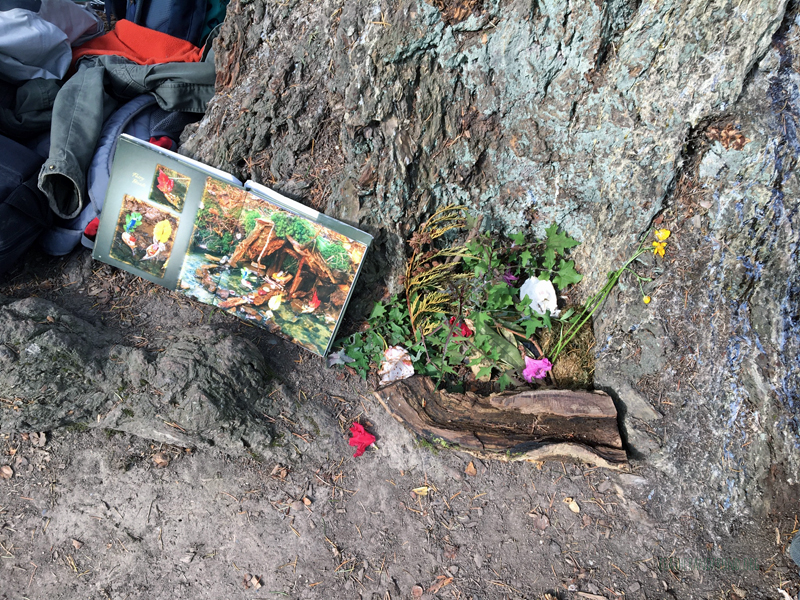 FoxWalkers-2019-Week30+31-Fairhaven25.jpg