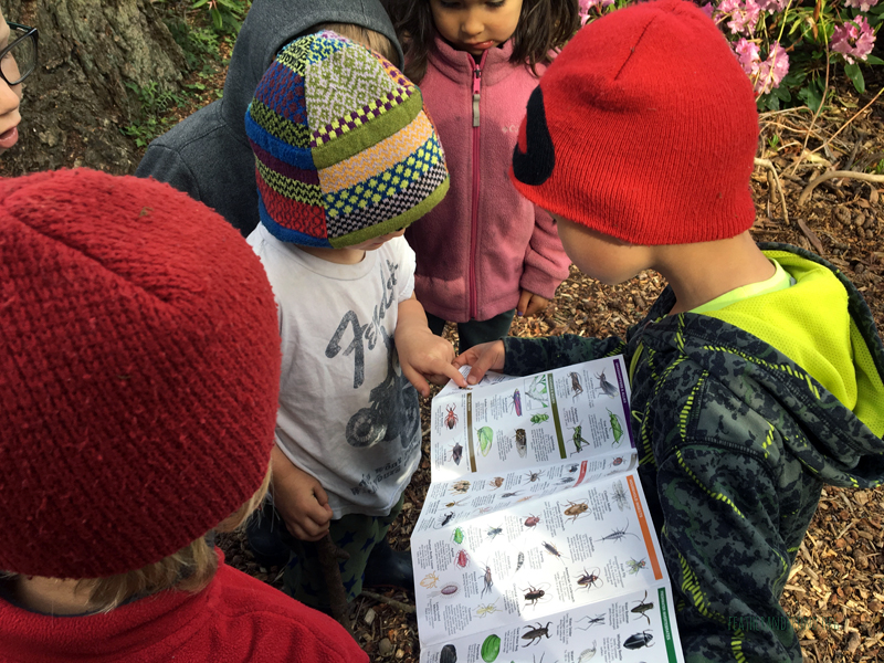 FoxWalkers-2019-Week30+31-Fairhaven26.jpg