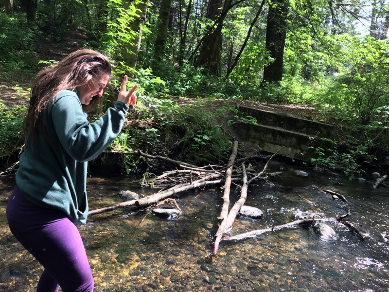 FoxWalkers-2019-Week30+31-Fairhaven48.jpg