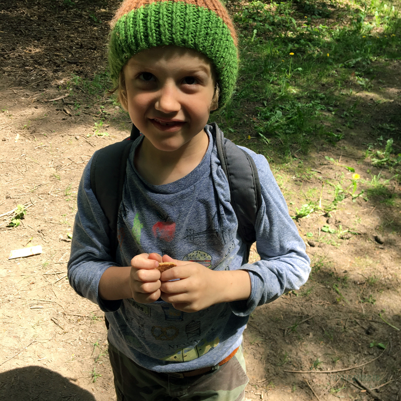 FoxWalkers-2019-Week30+31-Fairhaven50.jpg