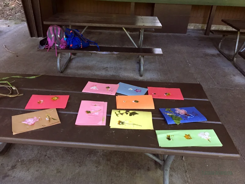FoxWalkers-2019-Week30+31-Whatcom12.jpg