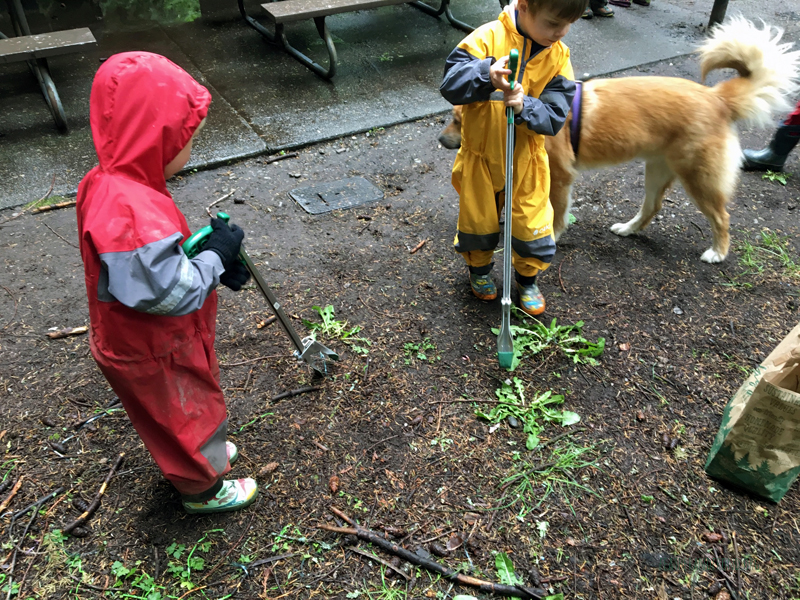 FoxWalkers-2019-Week30+31-Whatcom20.jpg