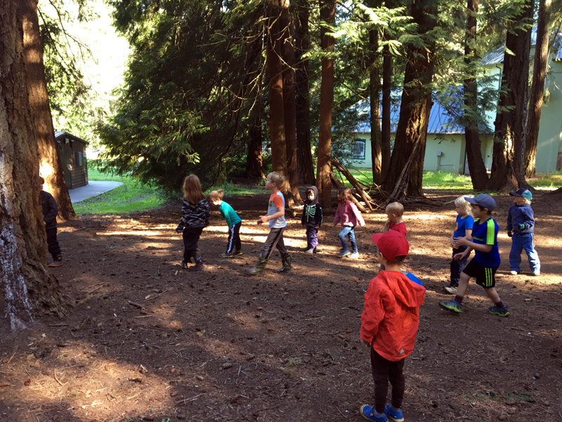 FoxWalkers-2019-Week30+31-Whatcom38.jpg