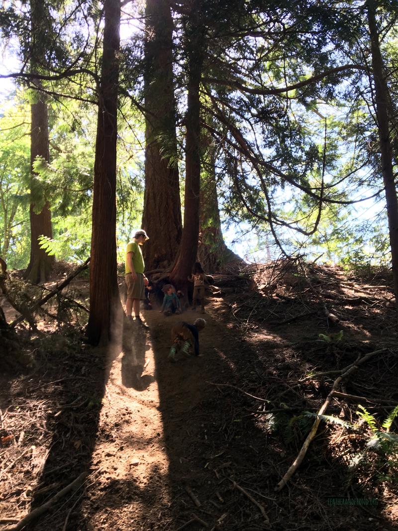 FoxWalkers-2019-Week30+31-Whatcom40.jpg