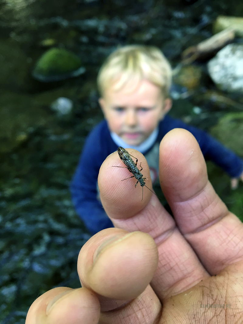 FoxWalkers-2019-Week30+31-Whatcom46.jpg