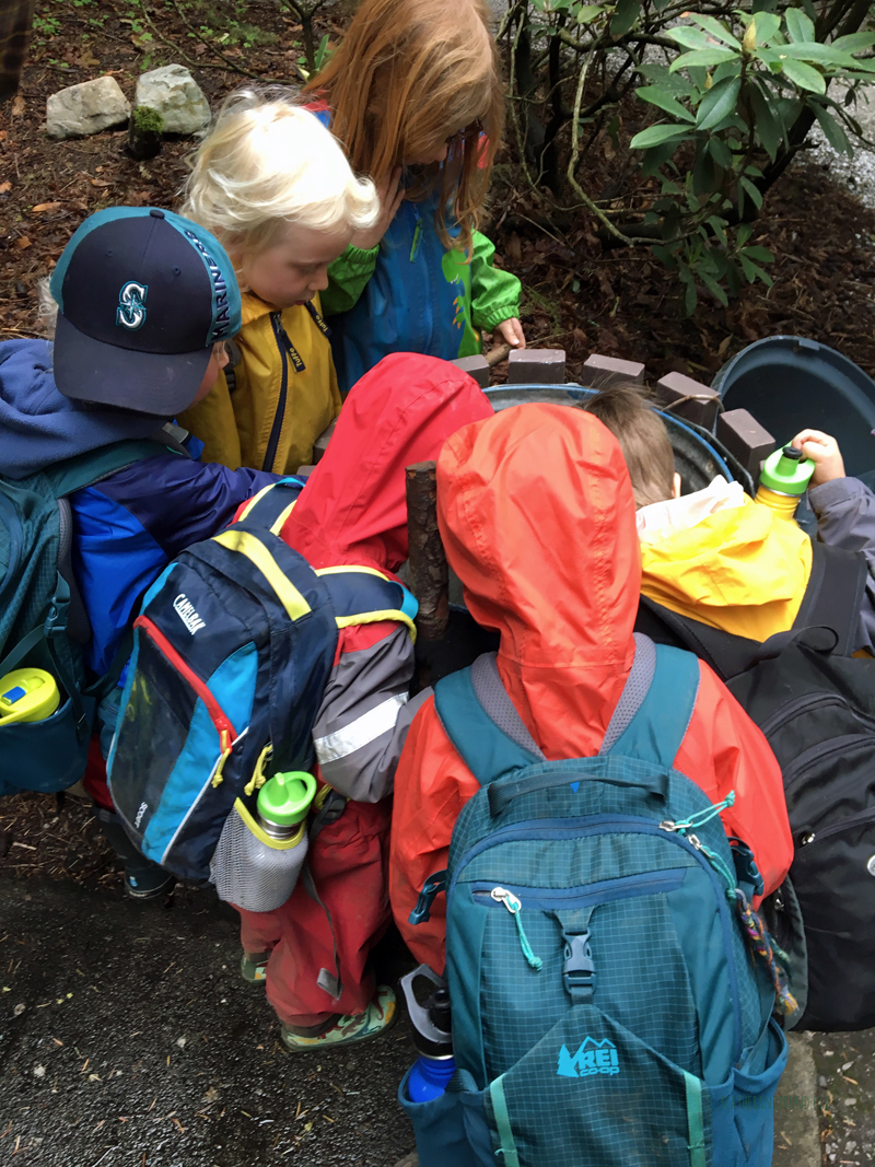 FoxWalkers-2019-Week30+31-Whatcom48.jpg