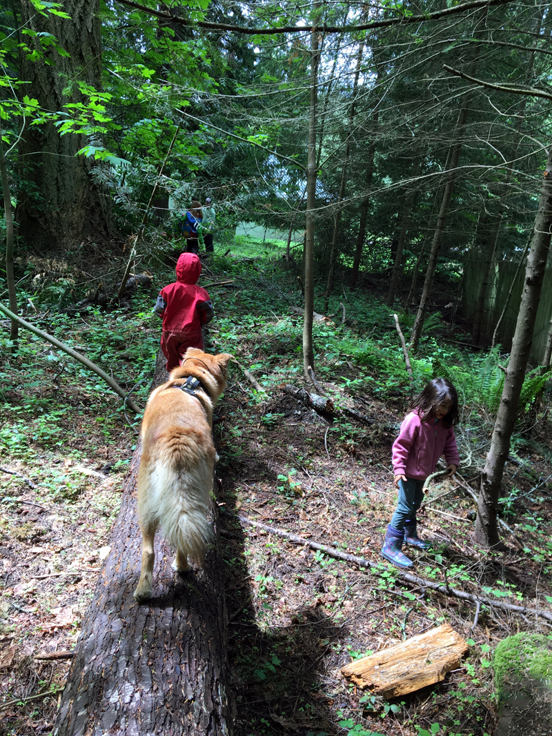 FoxWalkers-2019-Week30+31-Whatcom56.jpg