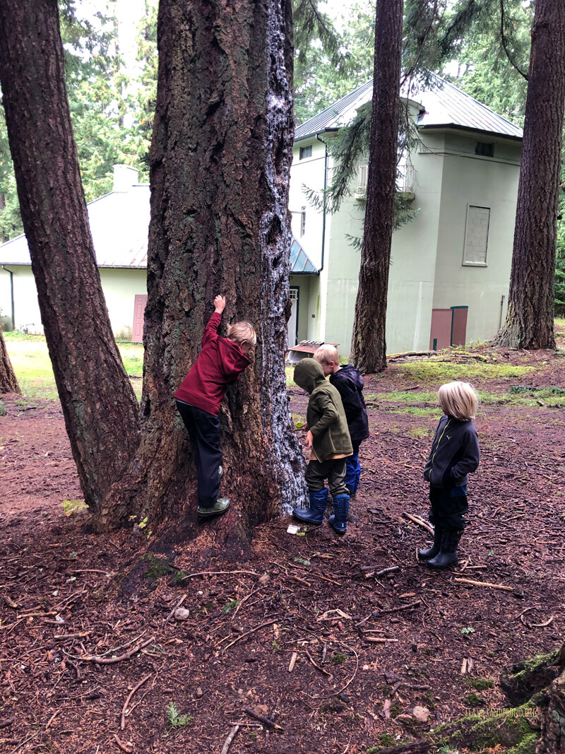 FireKeepers-2019-20-Week1+2-16.jpg