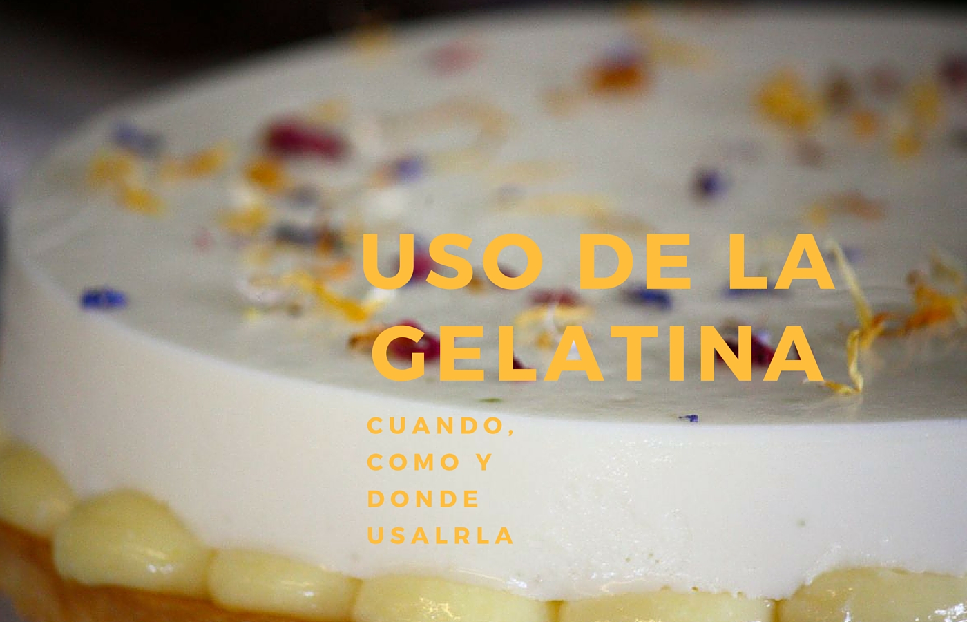 Usos de la Gelatina