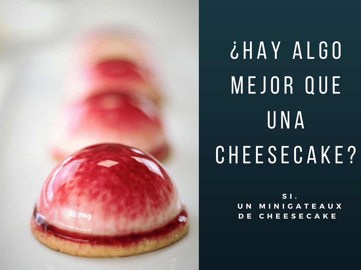 minigateaux de cheesecake cover.jpg