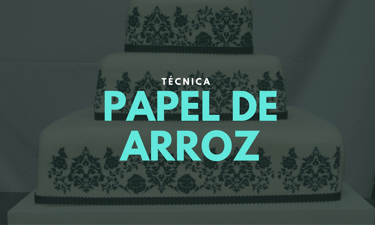 tecnica papel de arroz cover.jpg