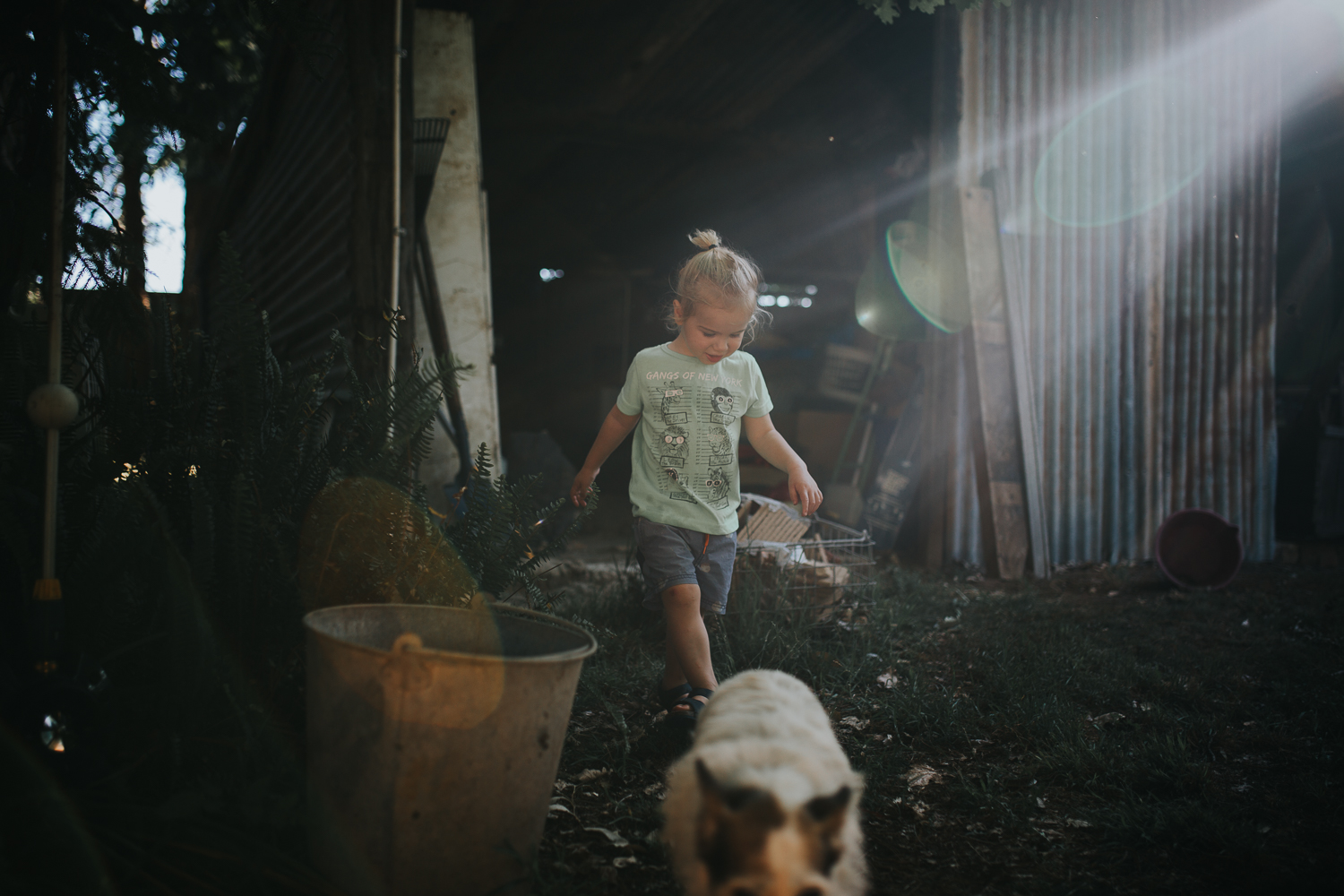 20161112_Sydney_Family_Photographer_ 7004.jpg