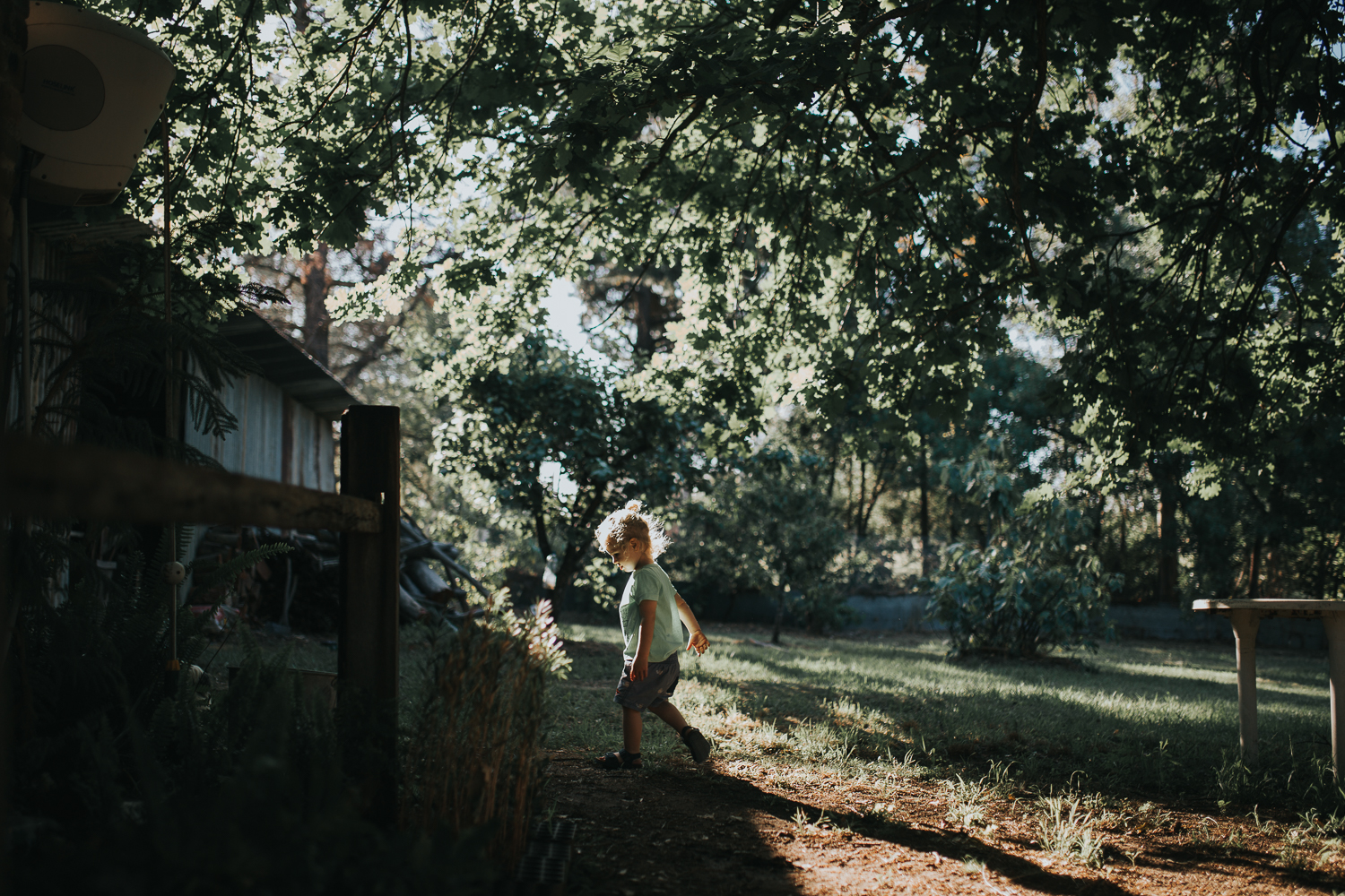 20161112_Sydney_Family_Photographer_ 7002.jpg