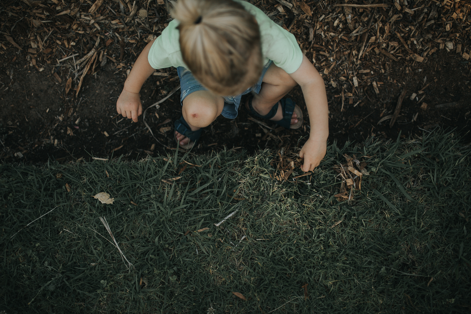 20161112_Sydney_Family_Photographer_ 7011.jpg