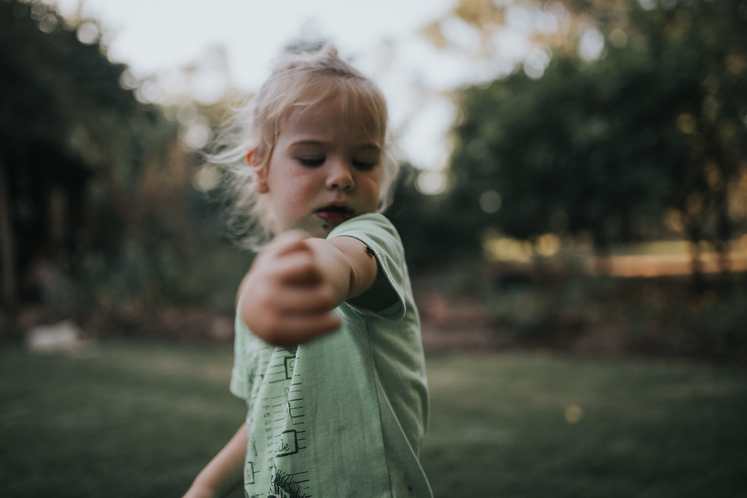 20161112_Sydney_Family_Photographer_ 7107.jpg