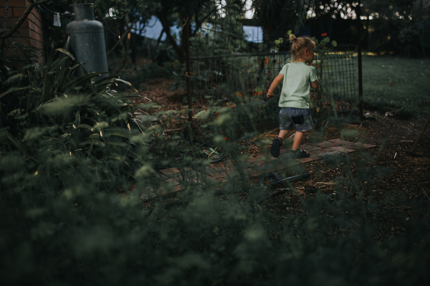 20161112_Sydney_Family_Photographer_ 7166.jpg