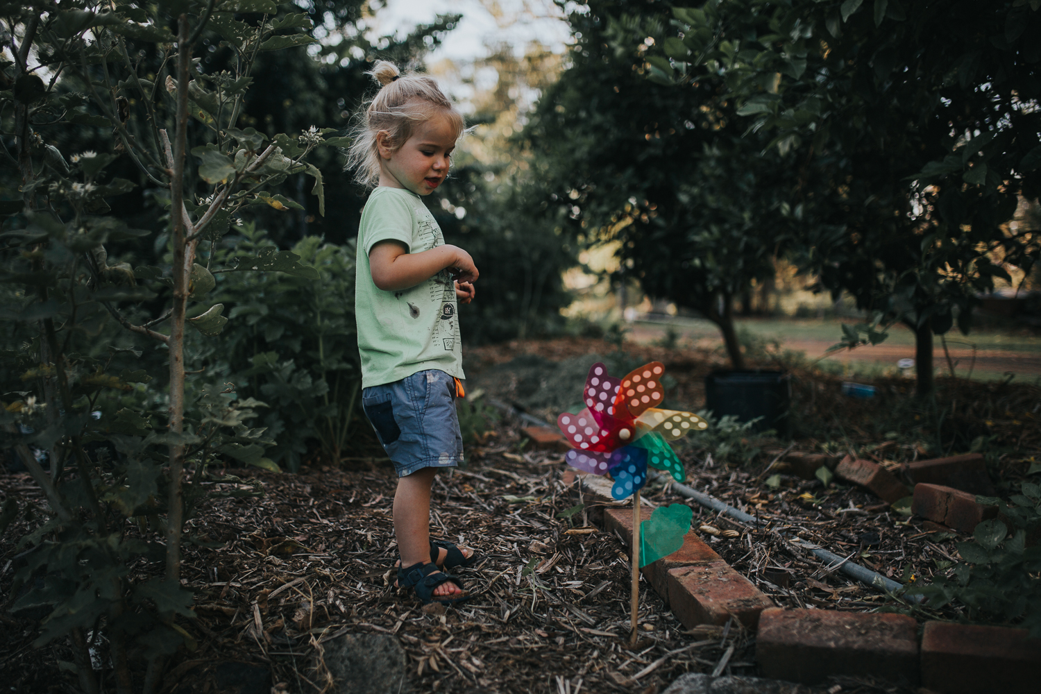 20161112_Sydney_Family_Photographer_ 7173.jpg