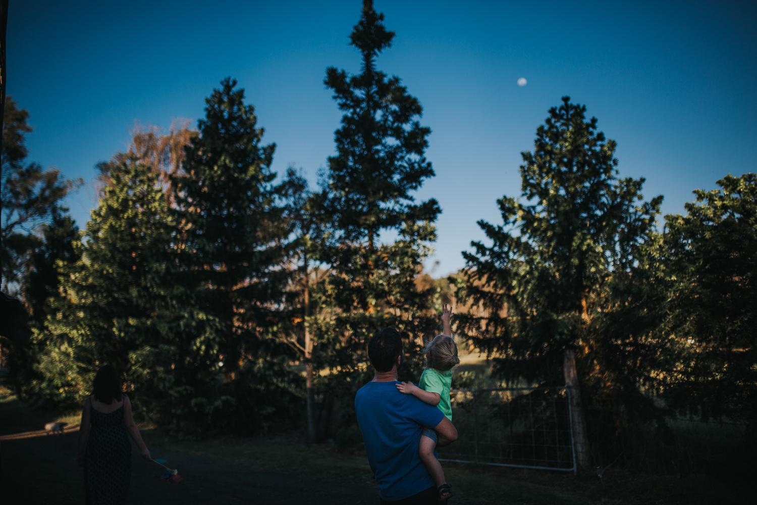 20161112_Sydney_Family_Photographer_ 7249.jpg