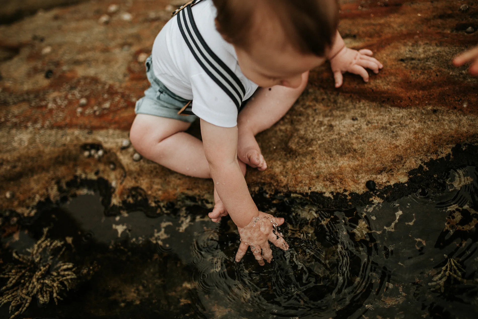 20161203_Sydney_Family_Photographer_ 1116.jpg