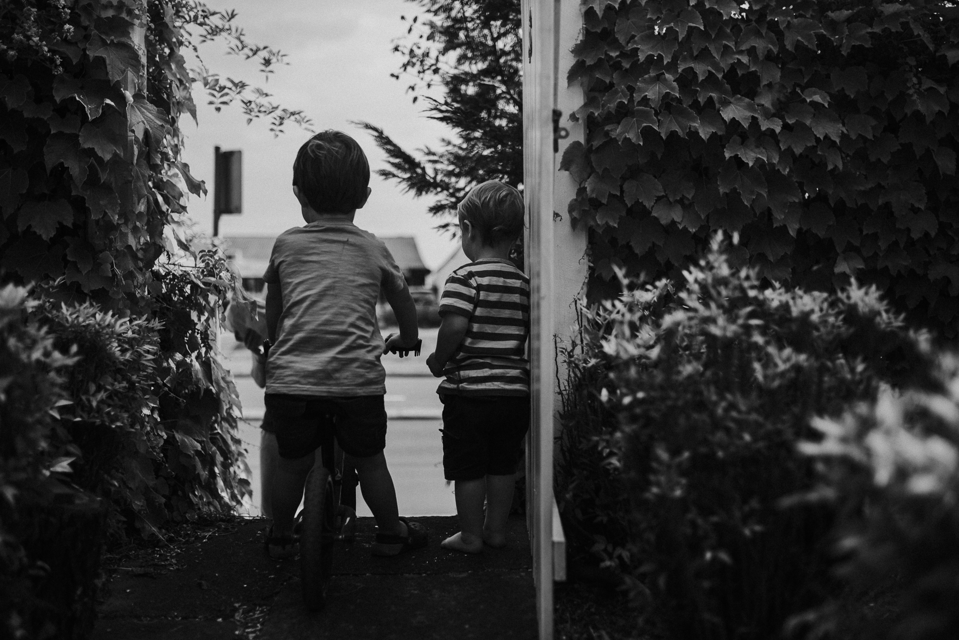 20161122_Sydney_Family_Photographer_ 8505.jpg