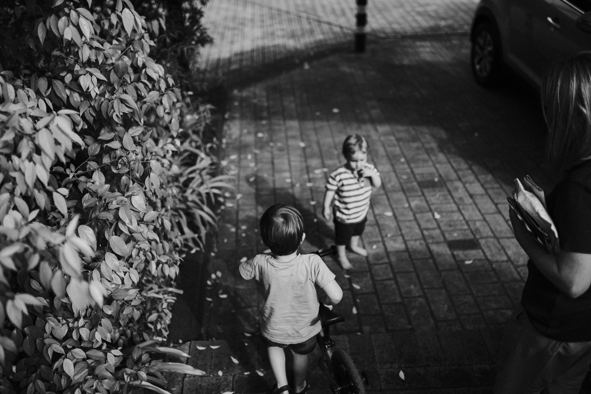 20161122_Sydney_Family_Photographer_ 8539.jpg