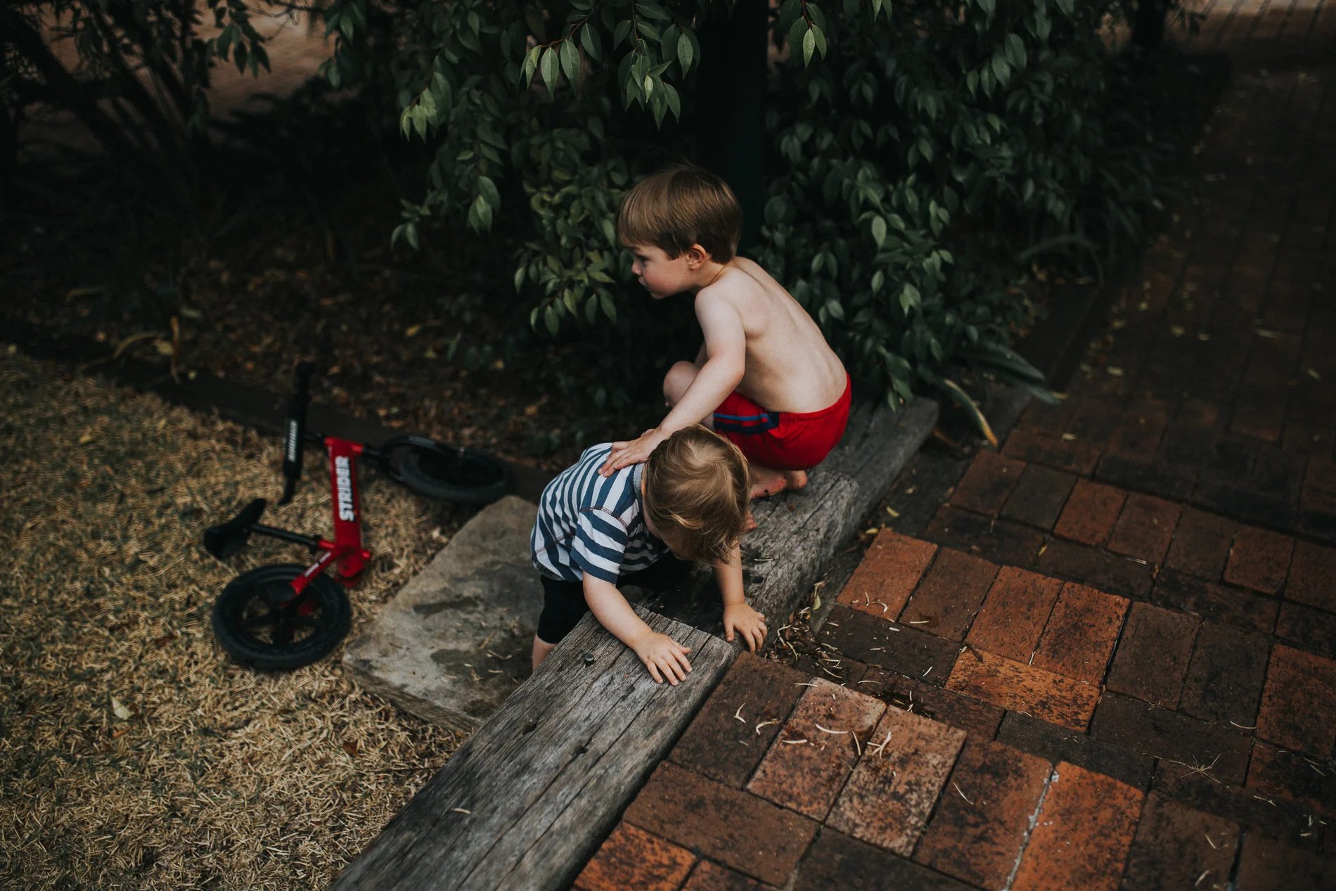 20161122_Sydney_Family_Photographer_ 9031.jpg