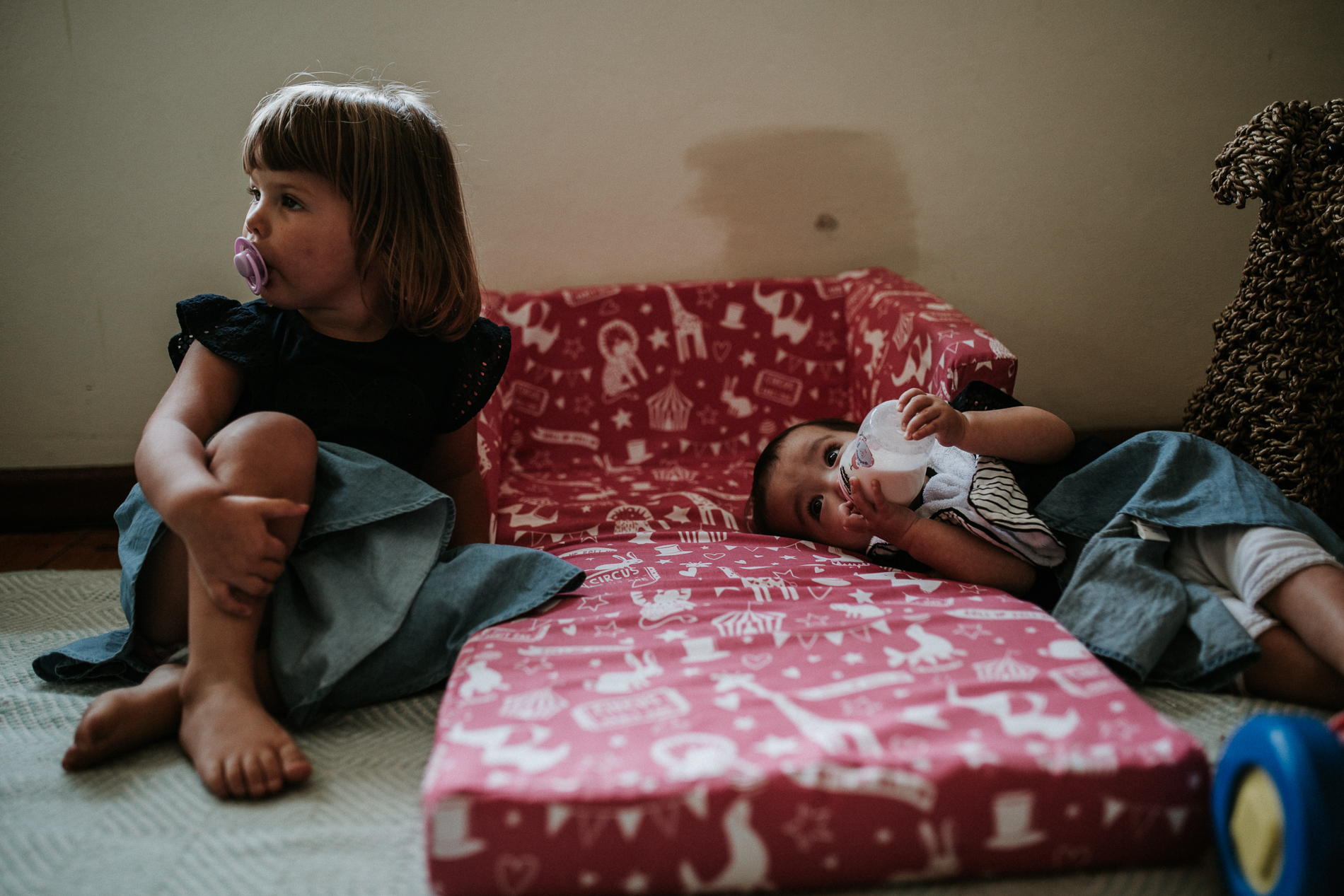 20170121_Sydney_Family_Photographer_ 7226.jpg