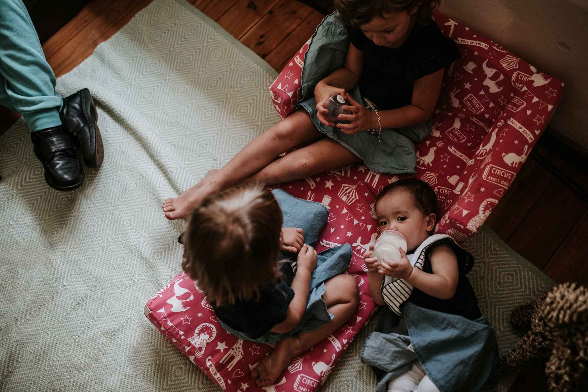 20170121_Sydney_Family_Photographer_ 7234.jpg
