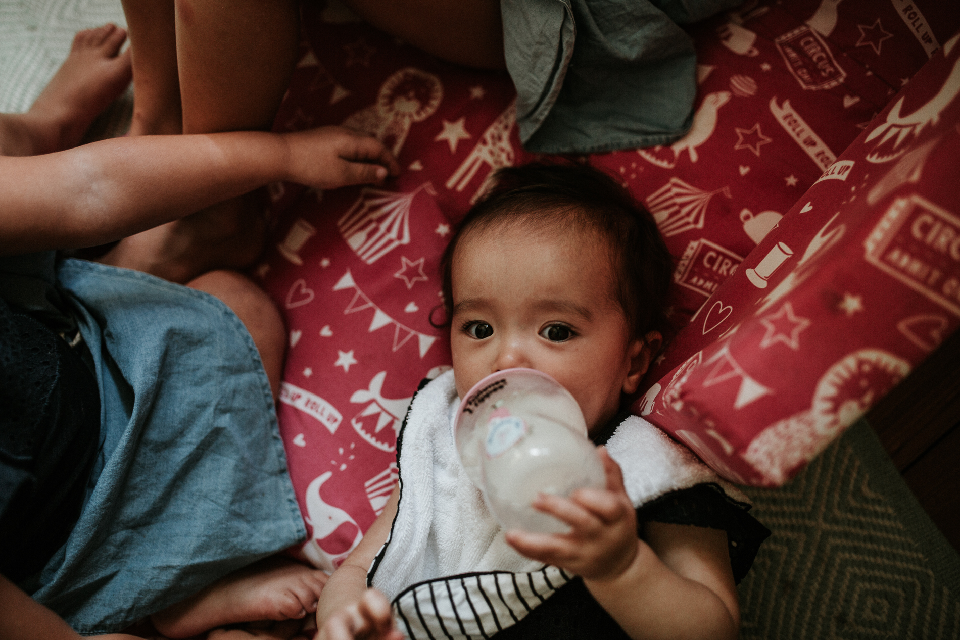 20170121_Sydney_Family_Photographer_ 7244.jpg