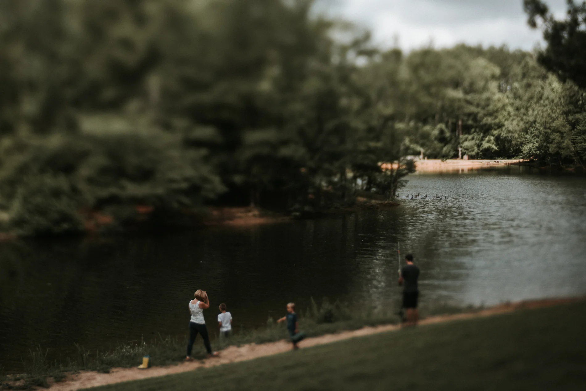 20170702_Sydney_Family_Photographer_ 2088.jpg