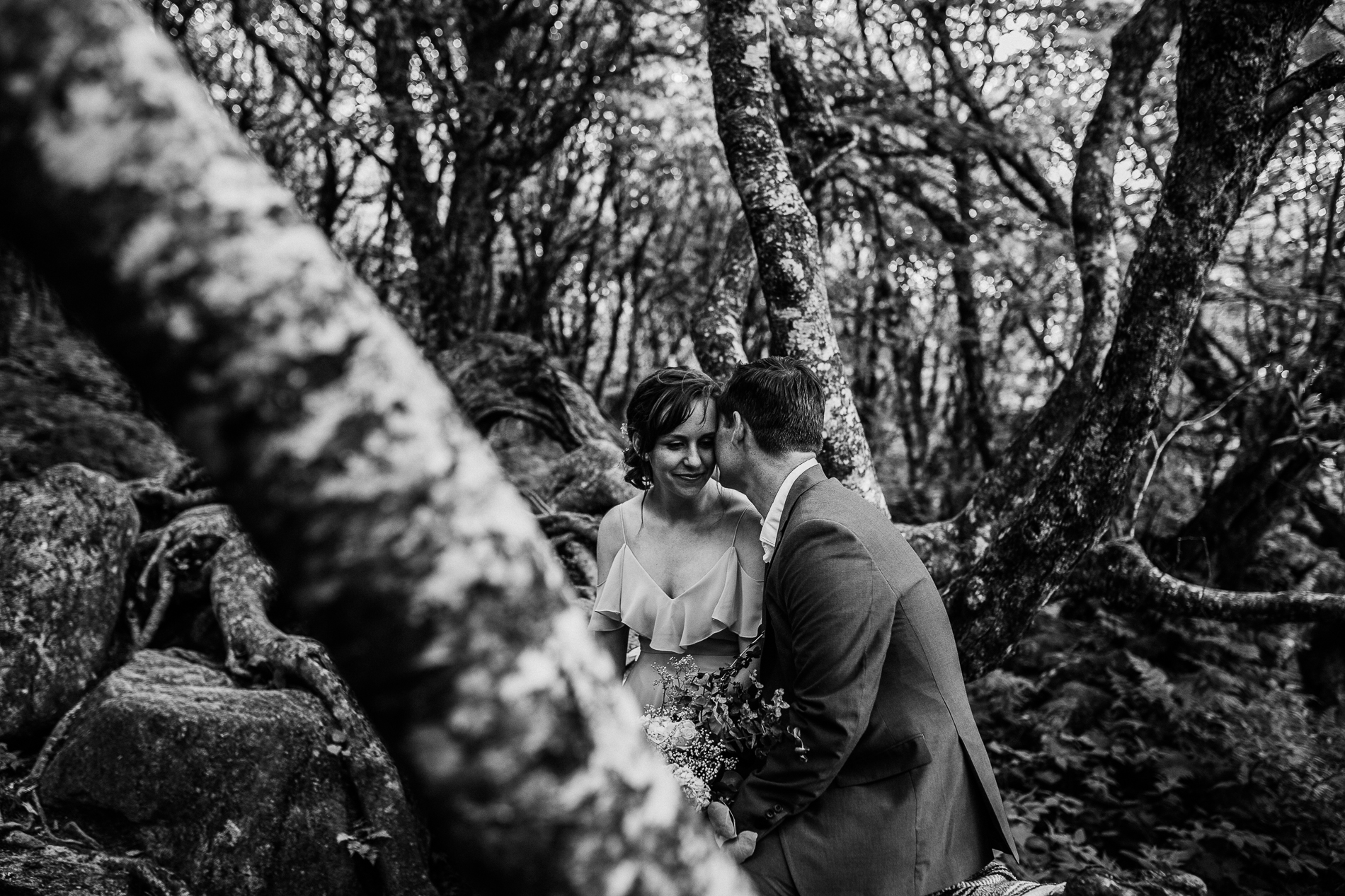 20170627_Sydney_Family_Photographer_ 1093.jpg