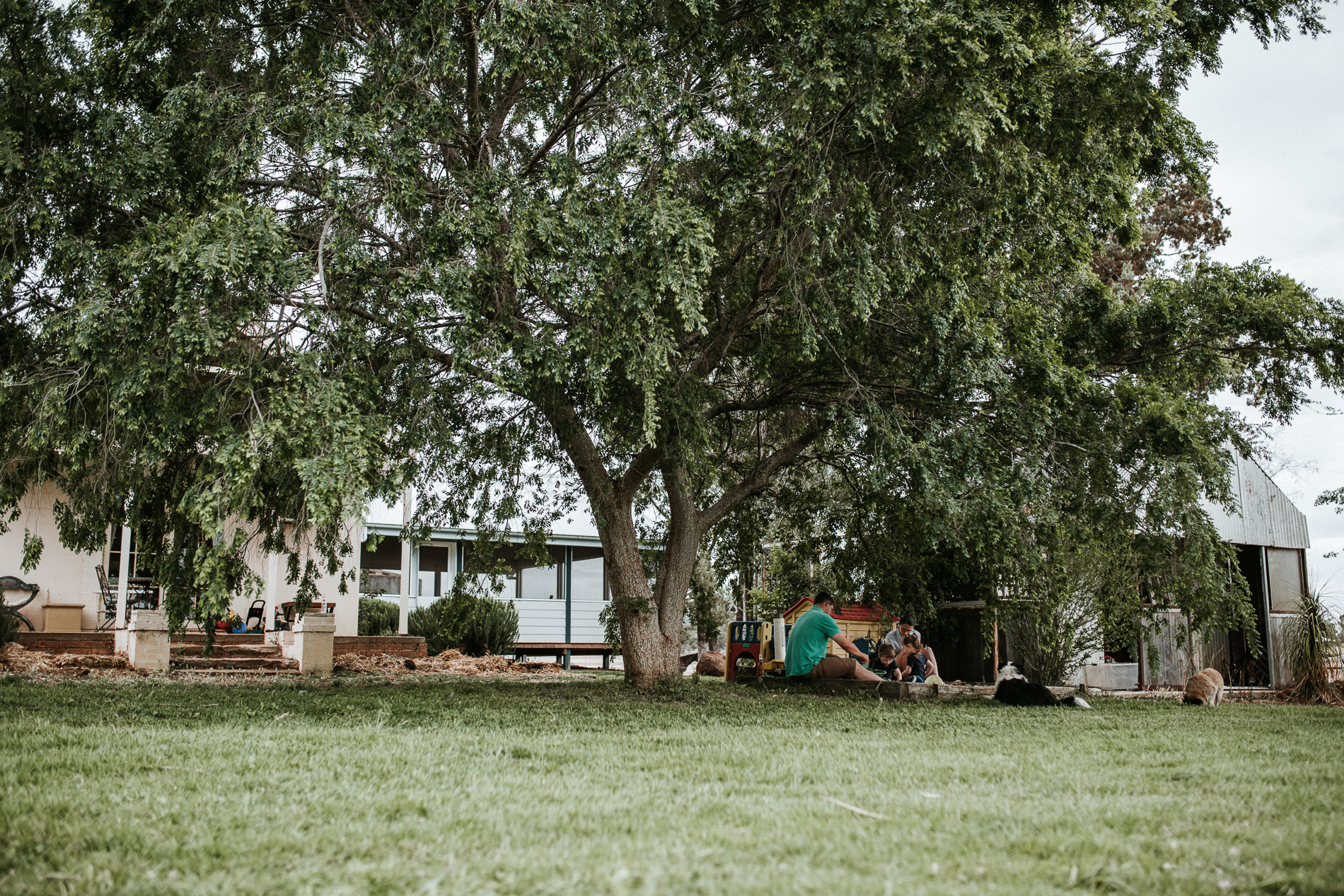 20171007_Sydney_Family_Photographer_ 01.jpg