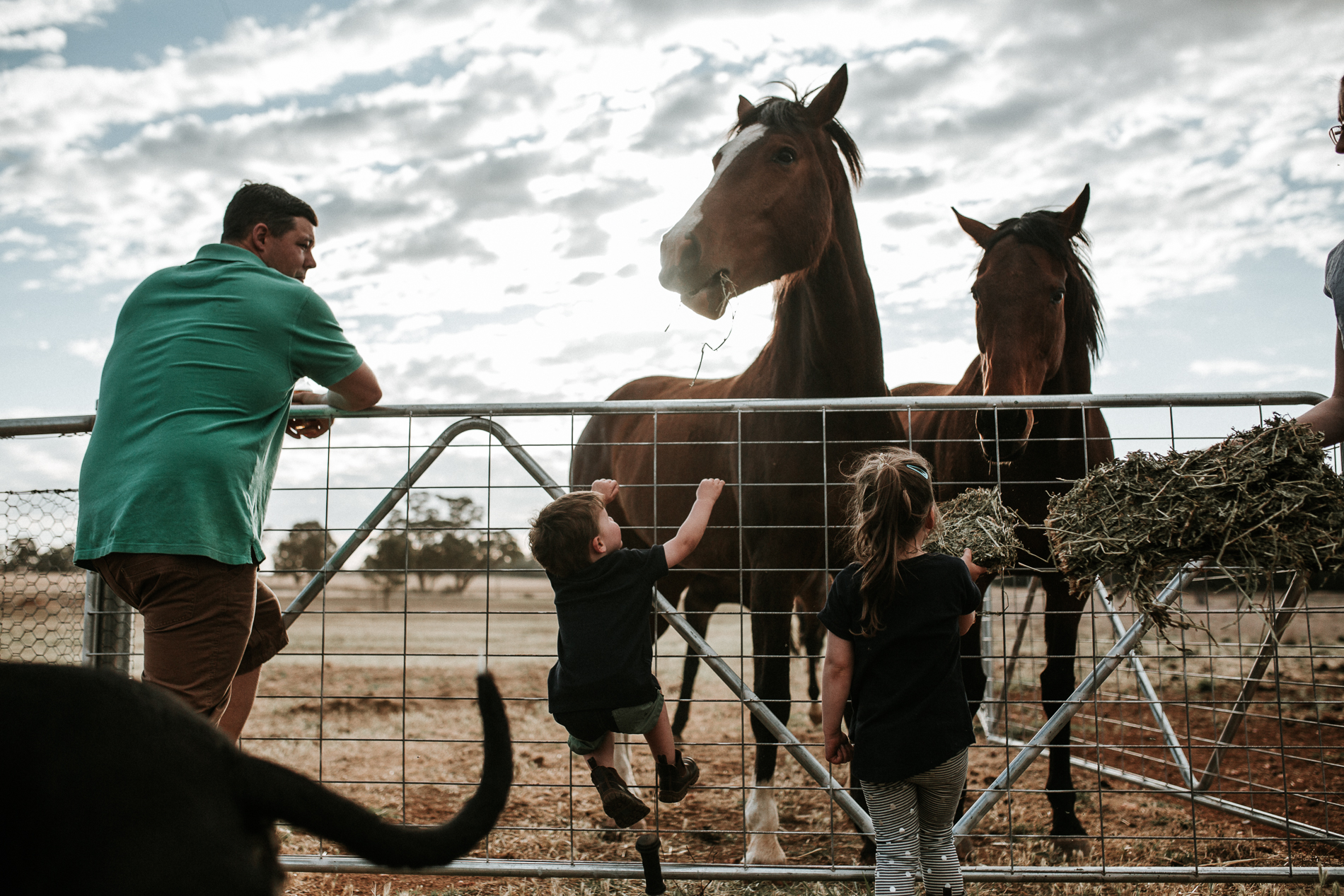20171007_Sydney_Family_Photographer_ 44.jpg