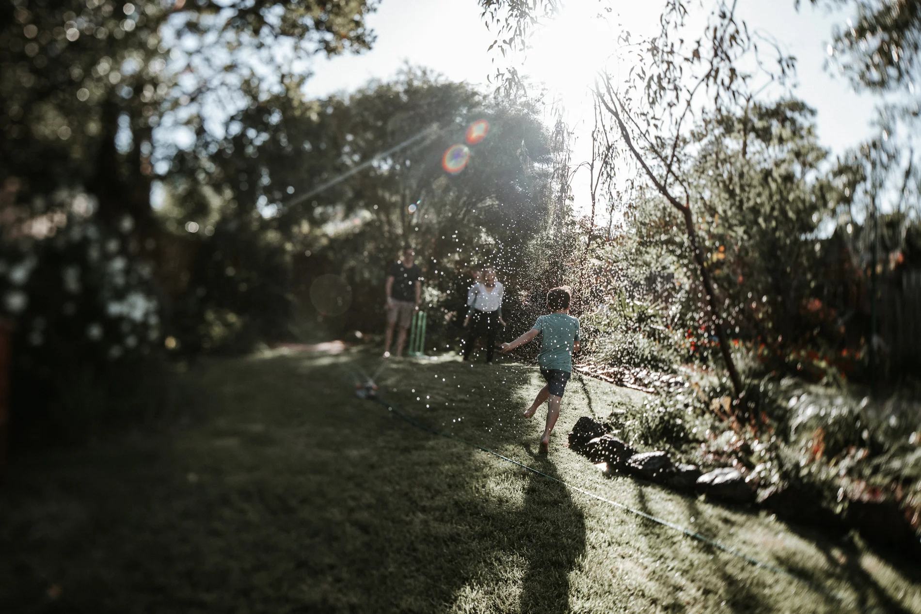20171111_Sydney_Family_Photographer_ 1558.jpg