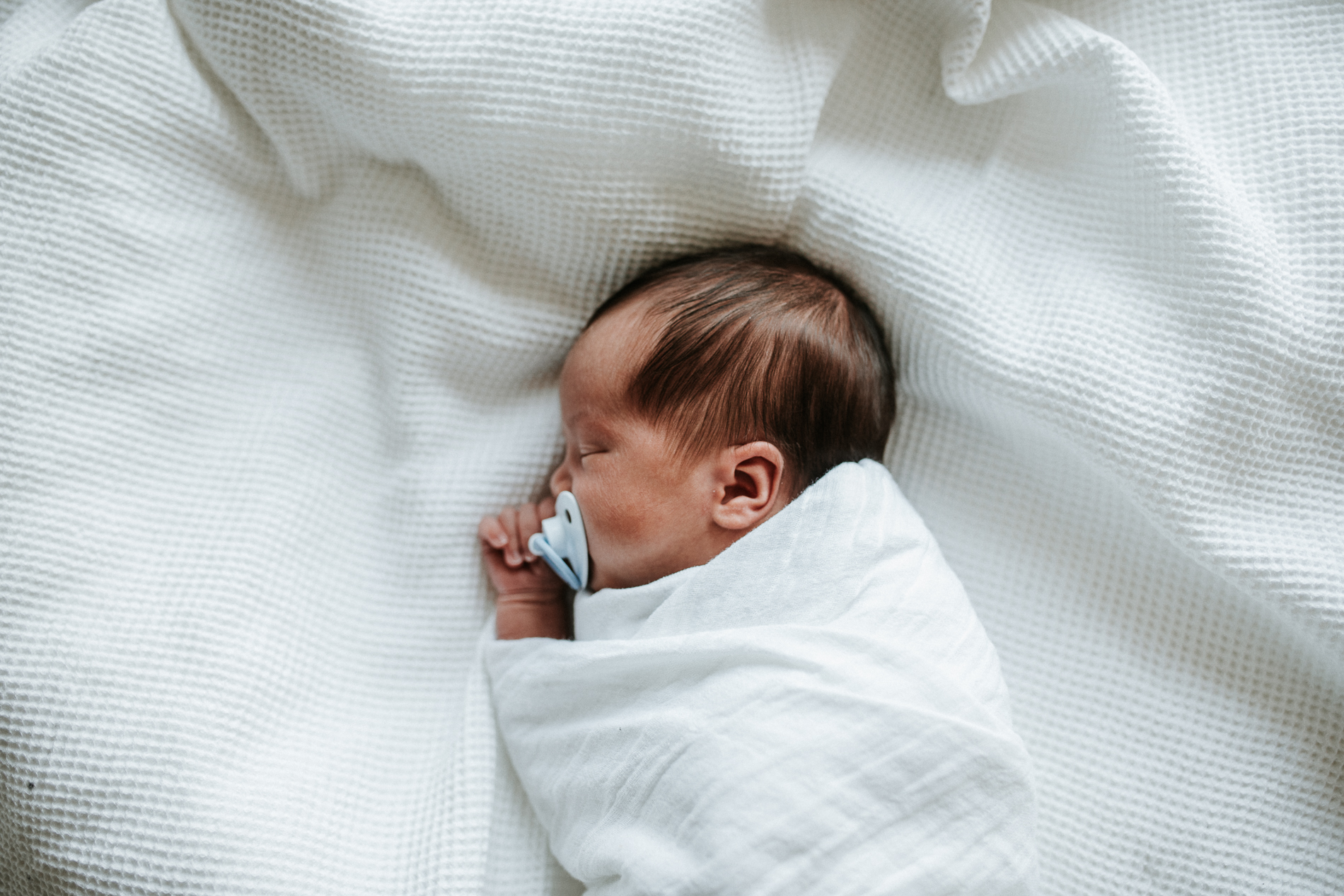 20180217_Sydney_Family_Photographer_ 0575.jpg