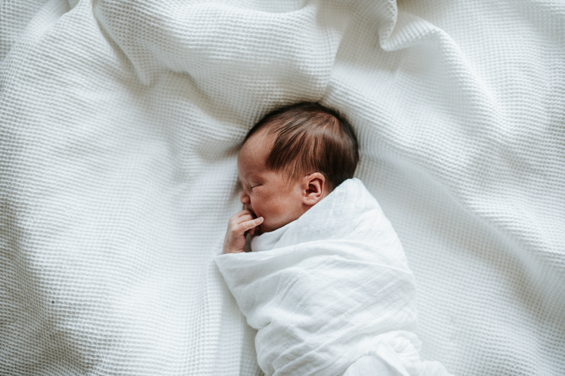 20180217_Sydney_Family_Photographer_ 0578.jpg