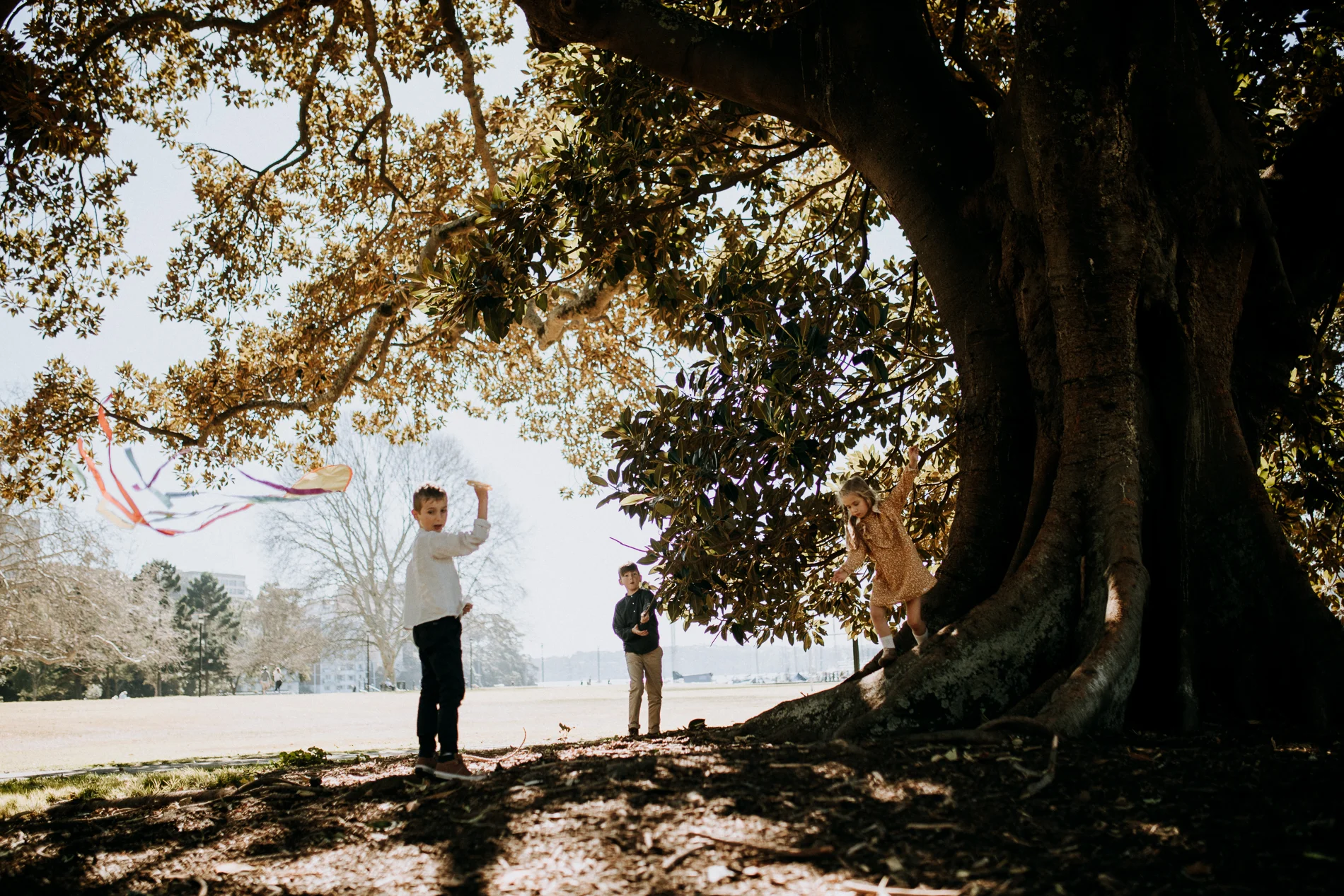 20180810_Sydney_Family_Photographer_ 3641.jpg