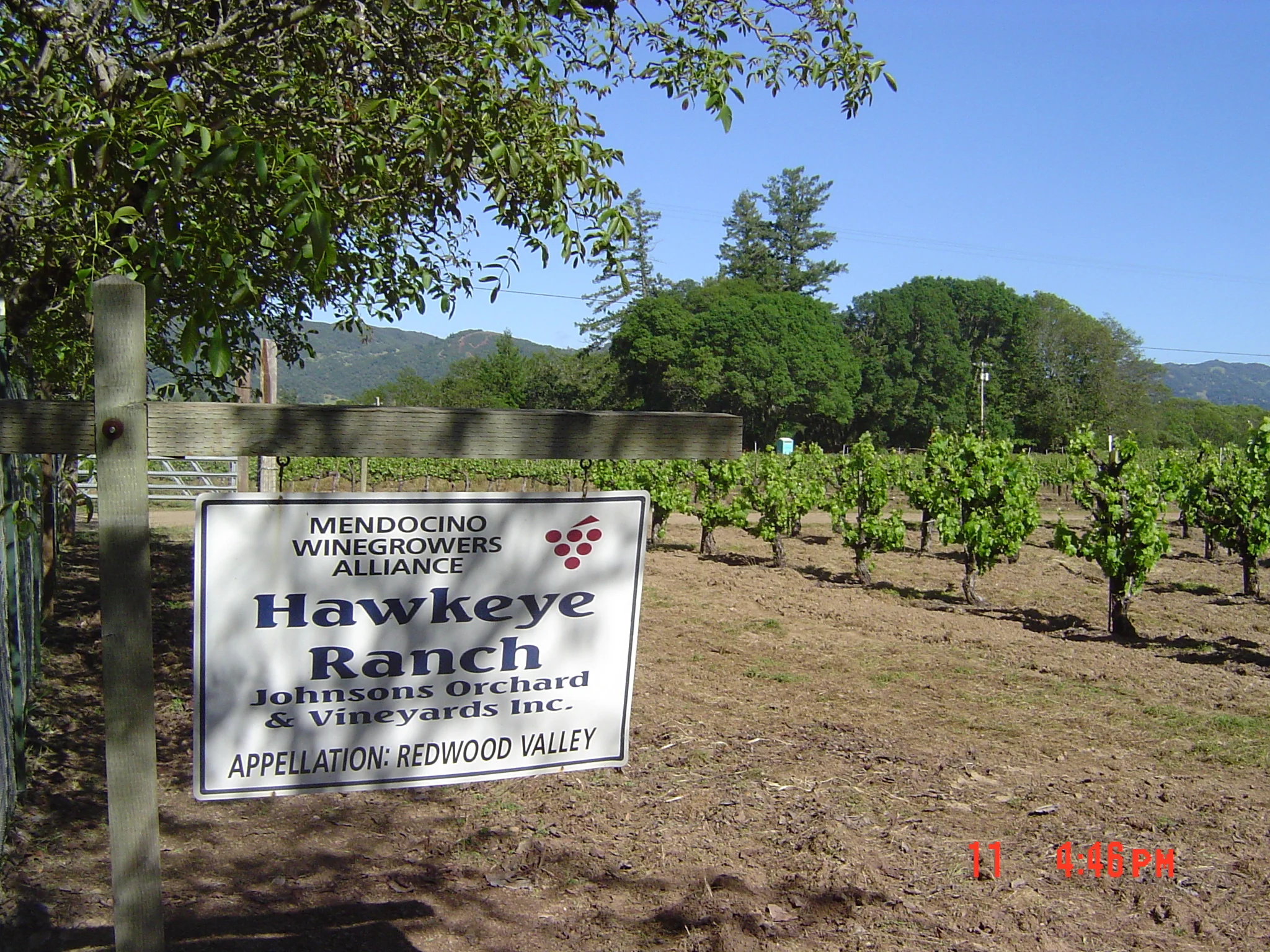 More about the Redwood Valley ranch: "The site is stunning in a naturalistic yet unpretentious way. Redwood Valley is very far north for a California appellation; Hawkeye Ranch sits at 722 ft elevation and is located in the upper reaches of the Russ…