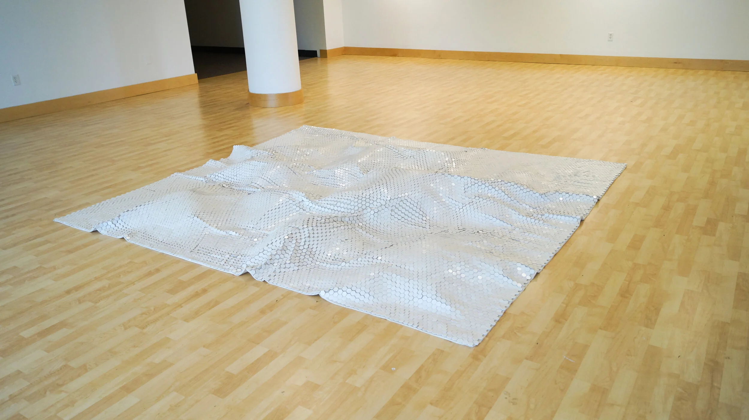 DSC05389-copy.jpg